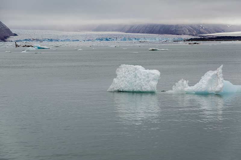 75 - Noruega - islas Svalbard - isla de Spitsbergen - fiordo Kongsfjorden